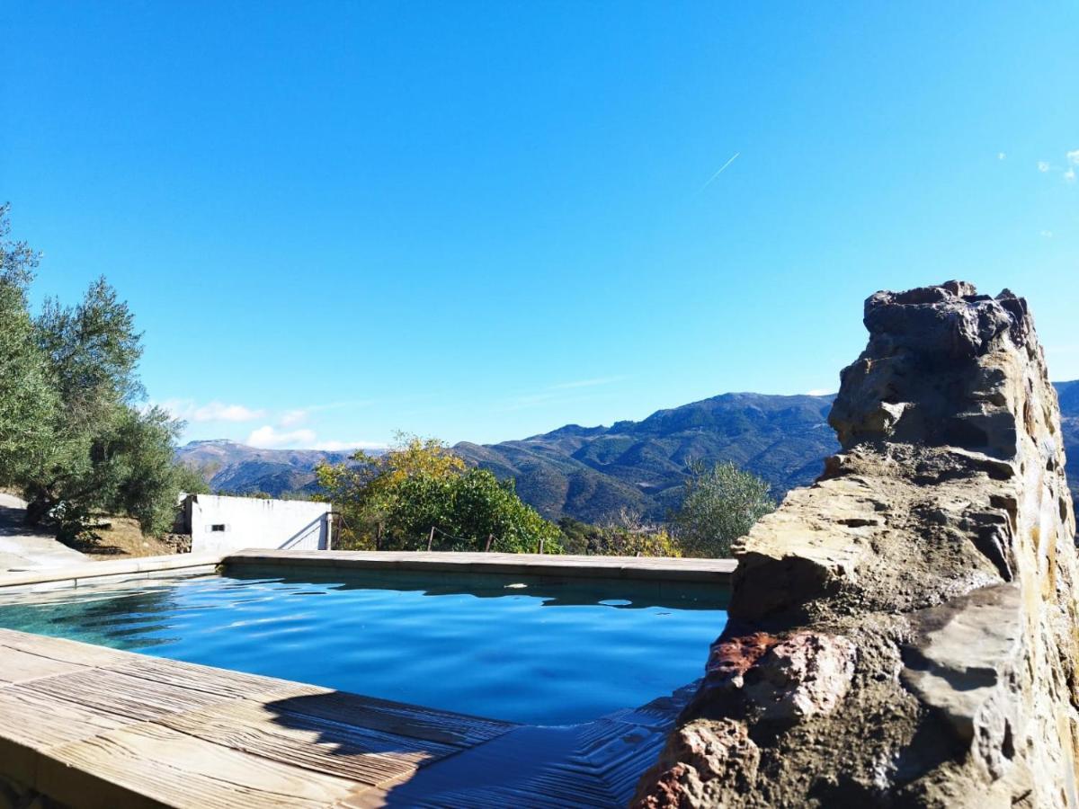 Casa El Pino ξενώνας Cortes de la Frontera Εξωτερικό φωτογραφία