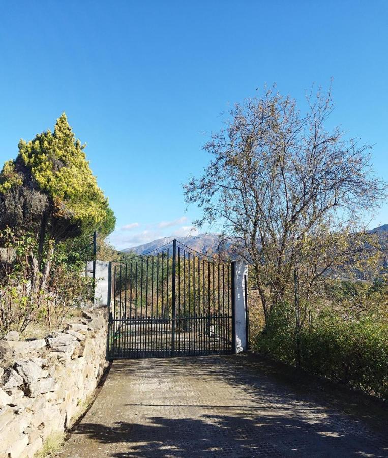 Casa El Pino ξενώνας Cortes de la Frontera Εξωτερικό φωτογραφία