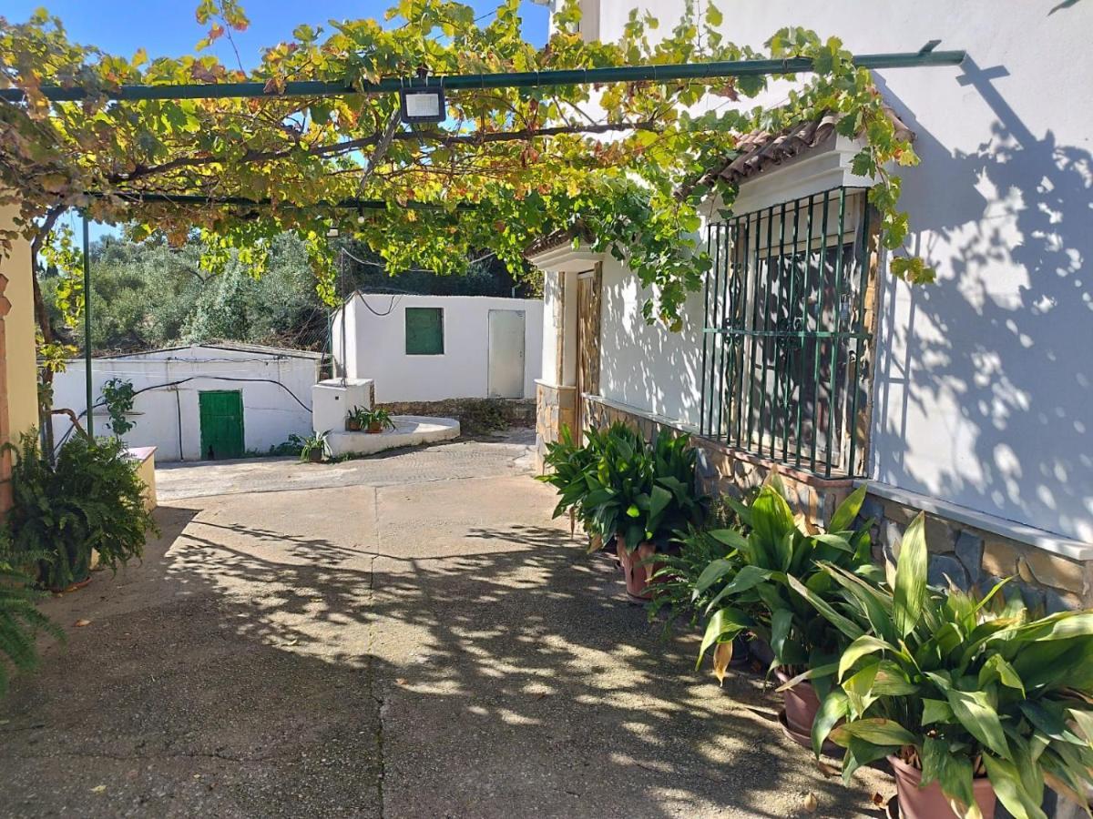 Casa El Pino ξενώνας Cortes de la Frontera Εξωτερικό φωτογραφία