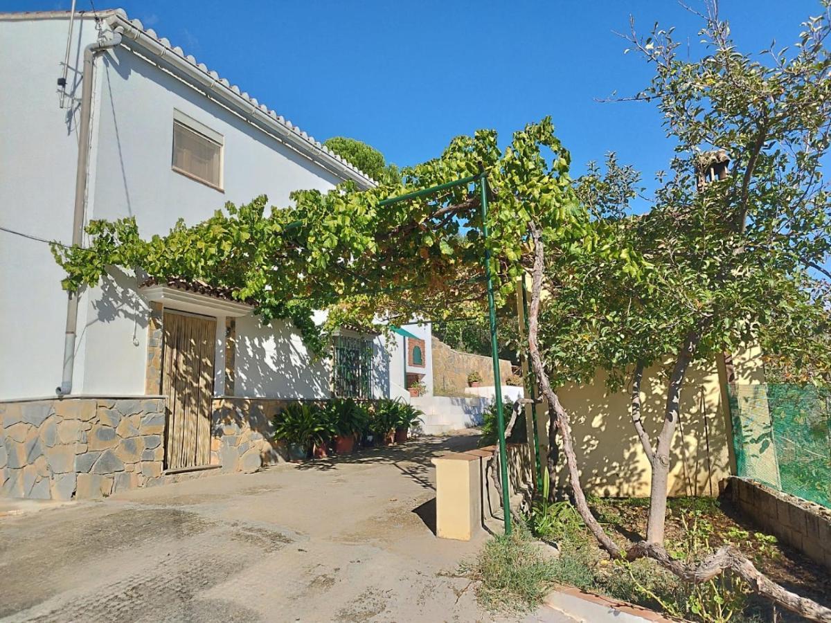 Casa El Pino ξενώνας Cortes de la Frontera Εξωτερικό φωτογραφία